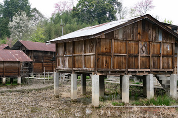 Traditional houses in Ziro village, India