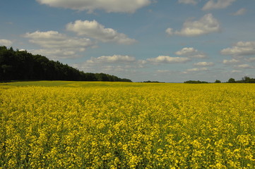 Obraz premium Mazury