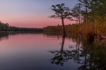 Fototapeta na wymiar Cypress Swamp Sunset 