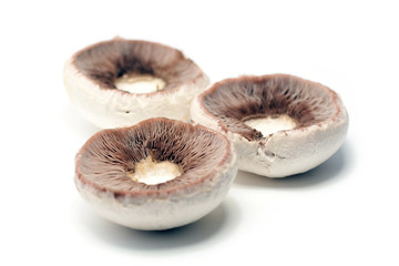 Fresh champignon mushrooms on white background