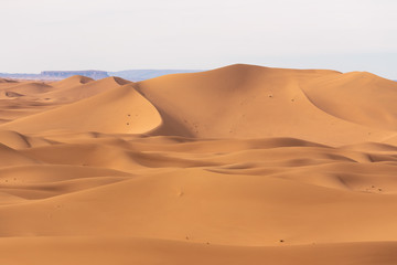 Fototapeta na wymiar Moroccan Desert Erg Chigaga High Sand Dunes