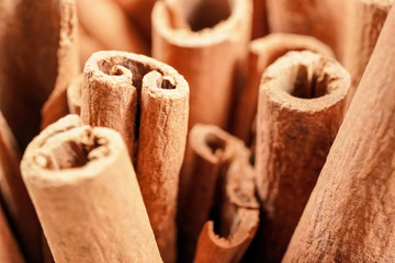Closeup detail - Heap of cinnamon bark sticks