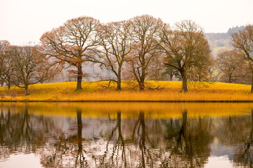 Shoreline of Derwentwater with beautiful autumnal trees