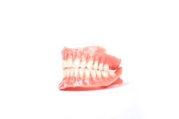 Dentures. Full removable denture. Isolate on white background