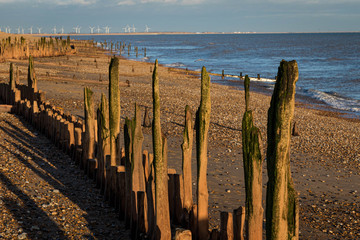 Groynes on Winchelsea Beach at sunset, East Sussex, England