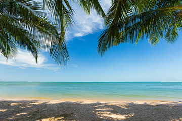 Obraz na płótnie Canvas Palm tree leaf and blue sky at the tropical sea on sunshine day.