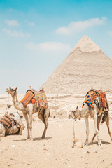 giza