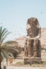 Abwaschbare Fototapete Grau Kolosse von Memnon