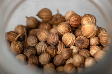 Сoriander in the bottle close-up