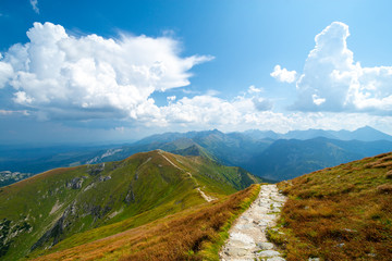 Fototapeta premium trail in beautiful Tatra mountain, Zakopane, Poland