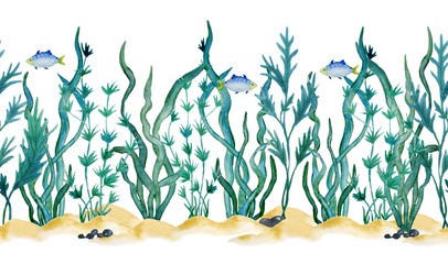 watercolor hand drawn seamless horizontal border green blue water seaweed algae. sand and stones. super food labels design packaging paper kelp laminaria spirulina healthy organic eating - obrazy, fototapety, plakaty
