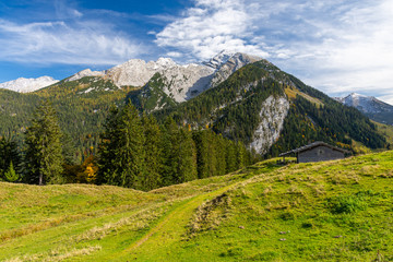Fototapeta premium alpine meadow in Bavarian Alps, Berchtesgaden, Germany 