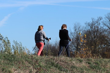 Obraz na płótnie Canvas Two women of age are engaged in Nordic walking in nature in the autumn. Activity of older people for a healthy lifestyle. Sports events and outdoor activities. Improvement of the body in the sunligh
