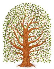 Old tree isolated on white background. Illustration.
