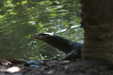 Koh Phangan Island, Surat Thani, Thailand