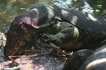 Koh Phangan Island, Surat Thani, Thailand