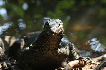 Koh Phangan Island, Surat Thani, Thailand