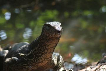 Koh Phangan Island, Surat Thani, Thailand