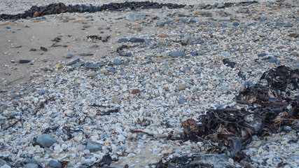 the spectacular red rocks bays of fire in tasmania, australia