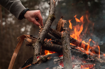 Burning firewood at campfire red fire