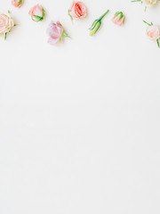 Creative floral background. Natural arrangement. Pastel color rose buds on white.