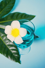 Exotic tropical Blue Curacao cocktail drink in a glass with Plumeria frangipani flower, palm leaf on the background.