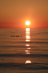 Sunset in the Ustronie Morskie. © RegnumInvictum