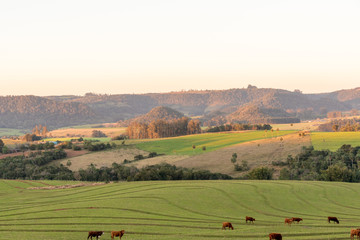 Fototapeta premium Rural landscape in Jaguari River Valley