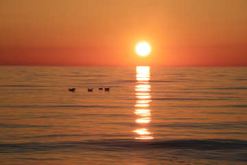 Sunset in the Ustronie Morskie. © RegnumInvictum