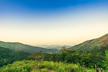 Fototapeta na wymiar National park view in india