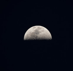 The moon