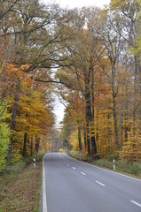 Landstraße in Swisttal