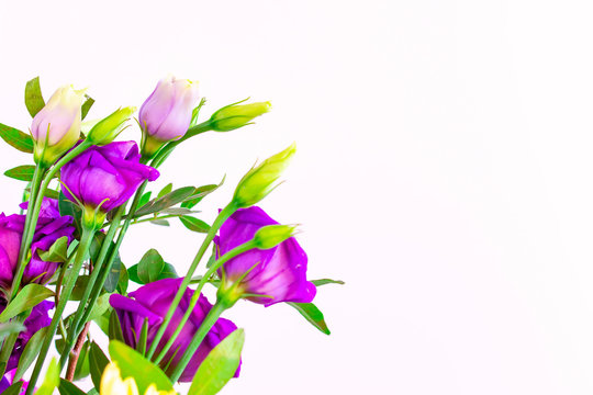 Beautiful bouquet on a white isolated background. 8 March Women's Day.