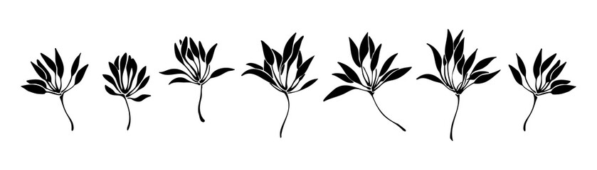 Hand drawn set of abstract plant silhouettes. Decorative vector illustration. Black isolated image on white background