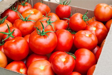 Big red tomatoes in a box.