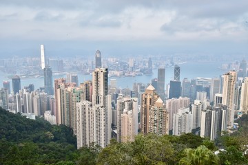 Fototapeta na wymiar 香港の街の景色