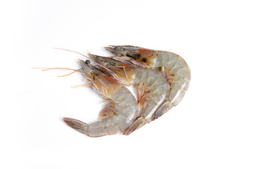Cooked Shrimps on white background