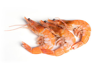 Cooked Shrimps on white background