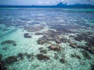 scenery sunny day above the coral reef during low tide in Semporna island. during low tide we can see a lot of coral reef and marine fishes around the Bum Bum Island.