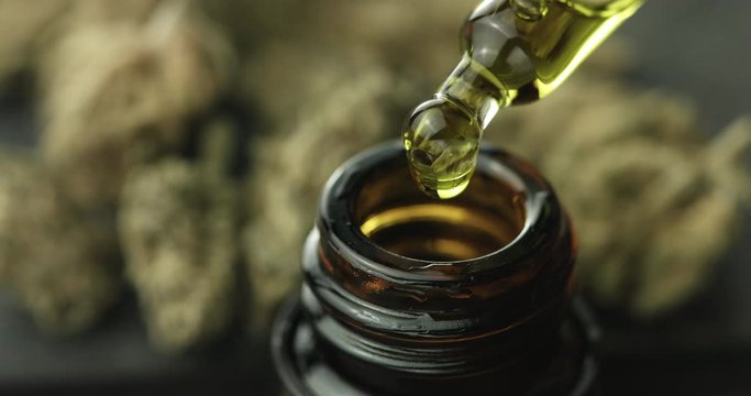 CBD Hemp oil, Hand holding droplet of Cannabis oil against Marijuana buds. Alternative Medicine. 4k slow motion