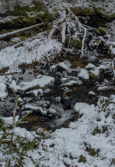 Hodslavsky creek with snow and ice in snowy winter day in Sumava national park