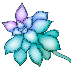 Hand drawn green succulent isolated on white background. Flowers in the desert. Vector illustration. Perfect for banner, invitation, greeting card, print.