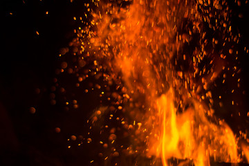 Fototapeta na wymiar fire on a black background orange flame night fire