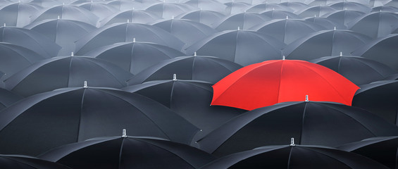 Fototapeta Different and standing out of the crowd umbrella. Concept of leader. obraz