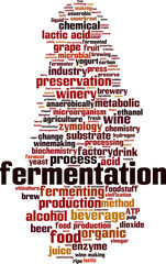 Obraz premium Fermentation word cloud
