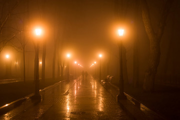 Couple park fog night Kiev