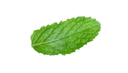 Obraz premium Mint leaf isolated on white background with Clipping Path.