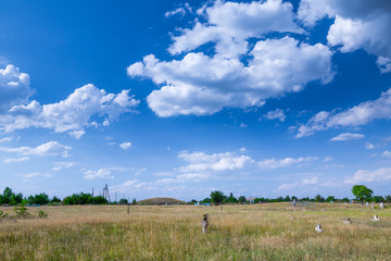 Stone tomb crosses on an ancient Christian necropolis of the 17th-19th centuries. The steppe hills on the right bank of the Dnipro river. Former settlements of Cossacks of Zaporizhzhya Sich in Ukraine