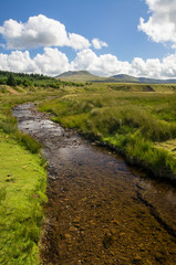 View of the stream in valley in Black Mountain region, Brecon Beacons National Park Wales United Kingdom UK