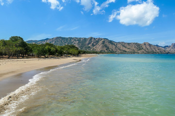 White sand beach on a volcanic island of Komodo, Indonesia. There is a wooden piece on the beach. Waves gently wash the shore. Turquoise color of the water. Idyllic island. Few trees on the beach line
